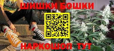 индика Гусь-Хрустальный