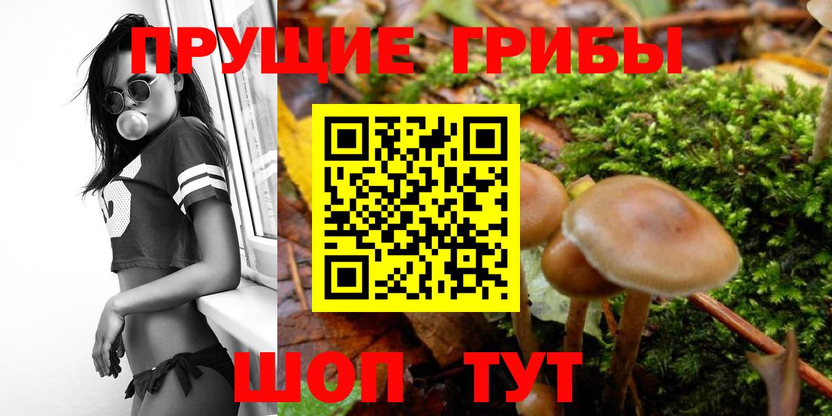 Псилоцибиновые грибы прущие грибы Миллерово