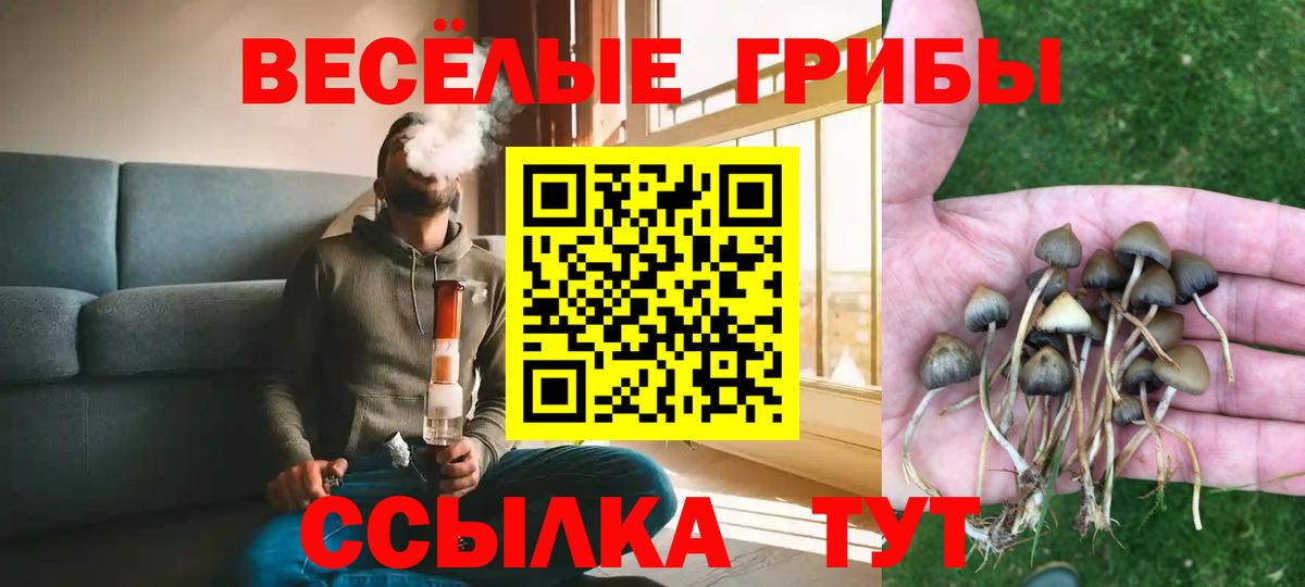 Миллерово  Псилоцибиновые грибы Psilocybine cubensis  Вход с VPN  Псилоцибиновые грибы прущие грибы 